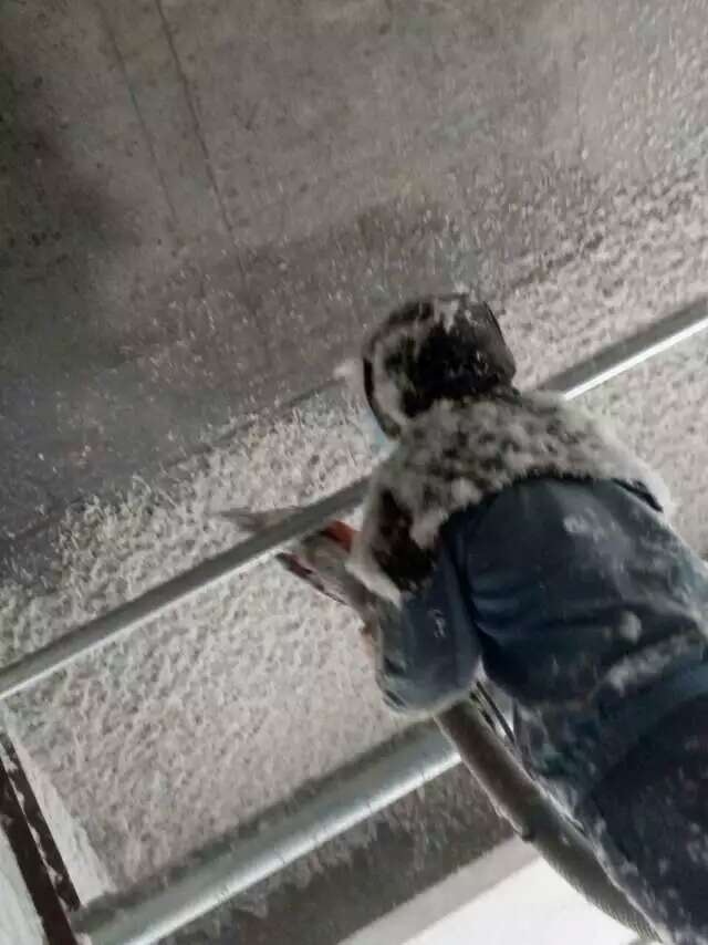 58d4e71b8e285.jpg 325367758426657445.jpg